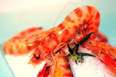 Langostino de Vinaroz