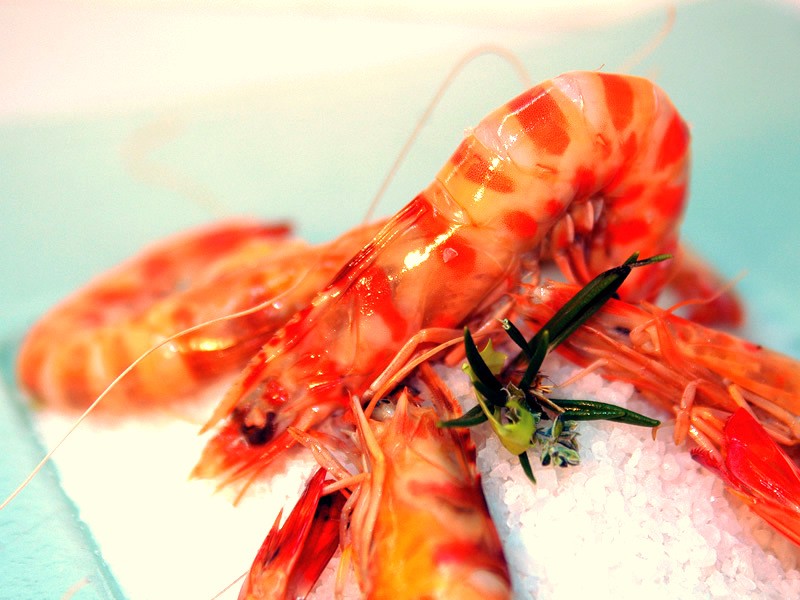 Langostino de Vinaroz