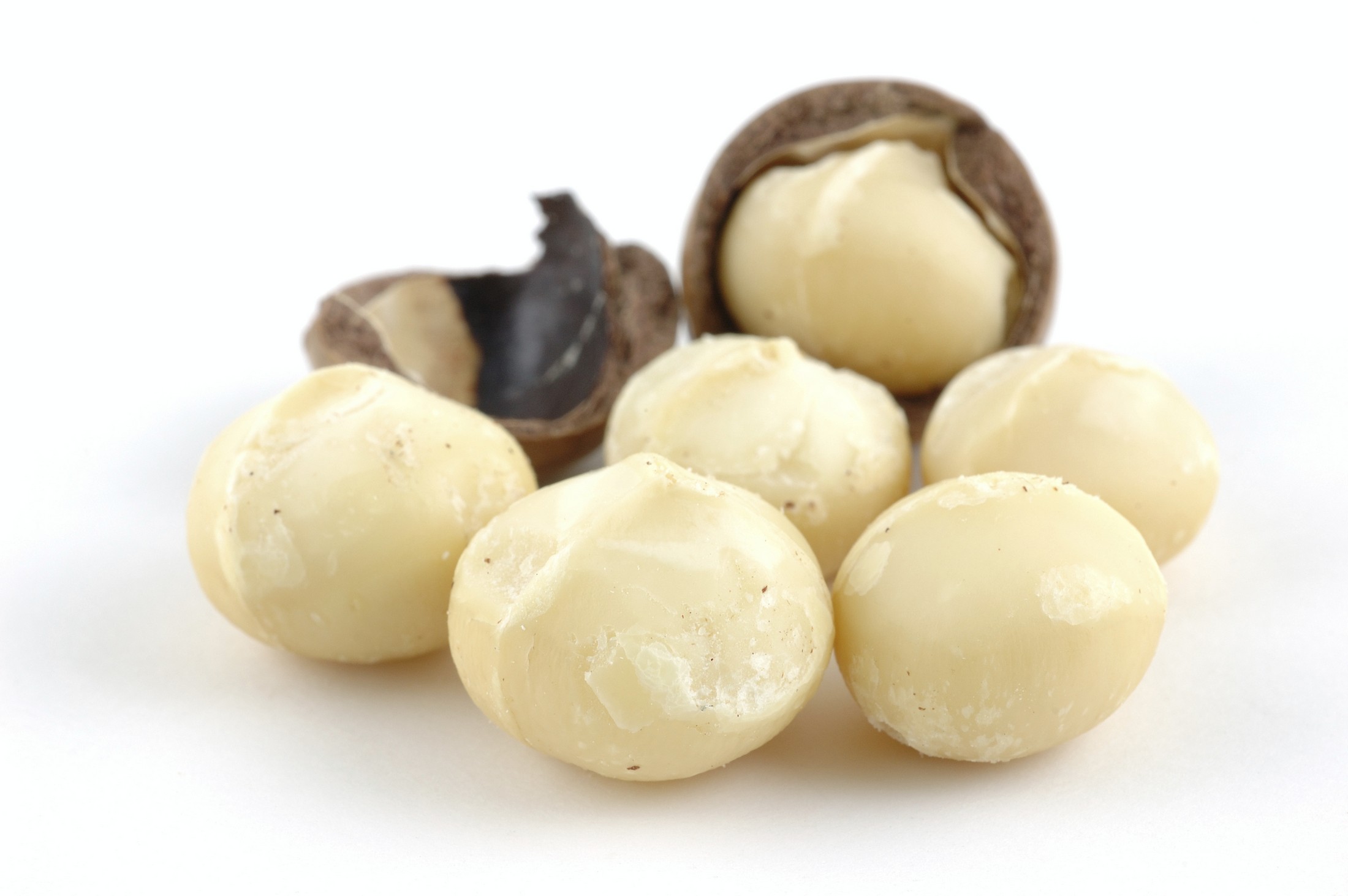 Macadamia nuts