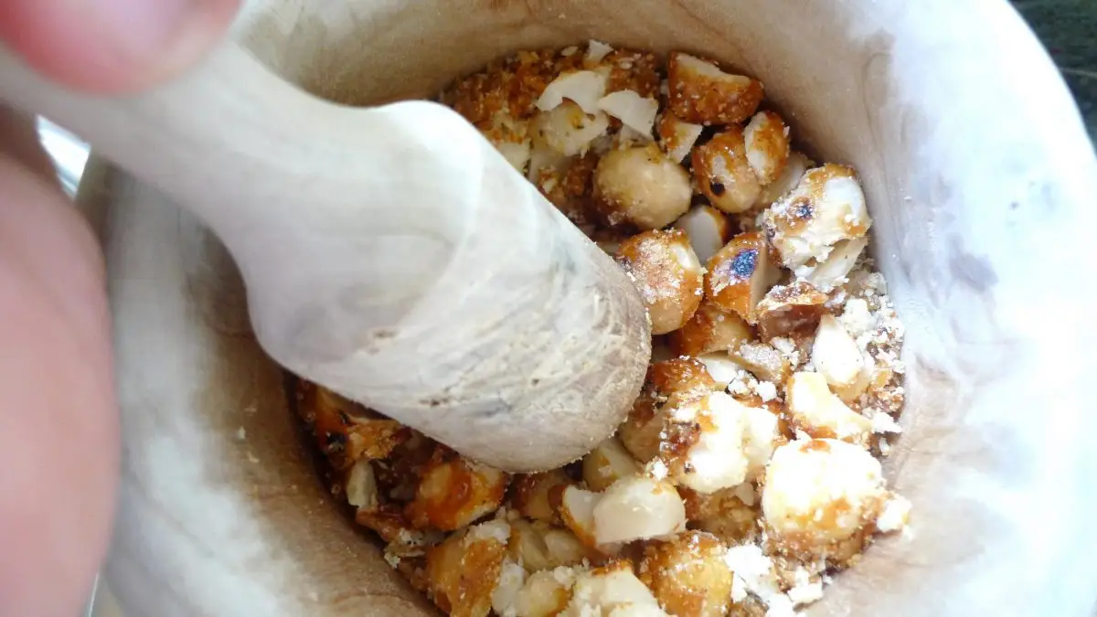 nueces de macadamia caramelizadas
