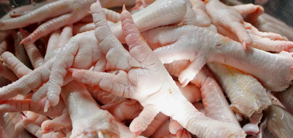 Patas de Pollo Patas de Pollo
