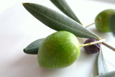 aceitunas