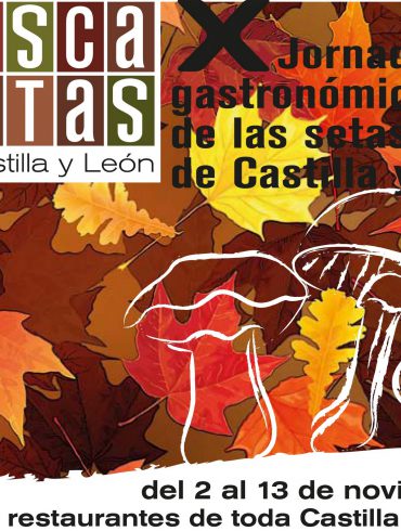 Busca Setas 2011
