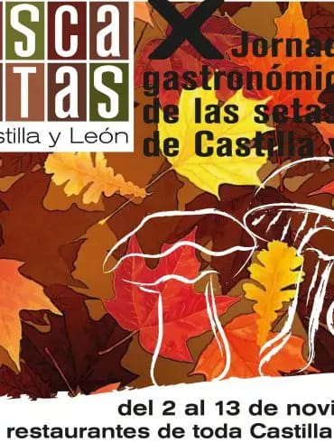 Busca Setas 2011