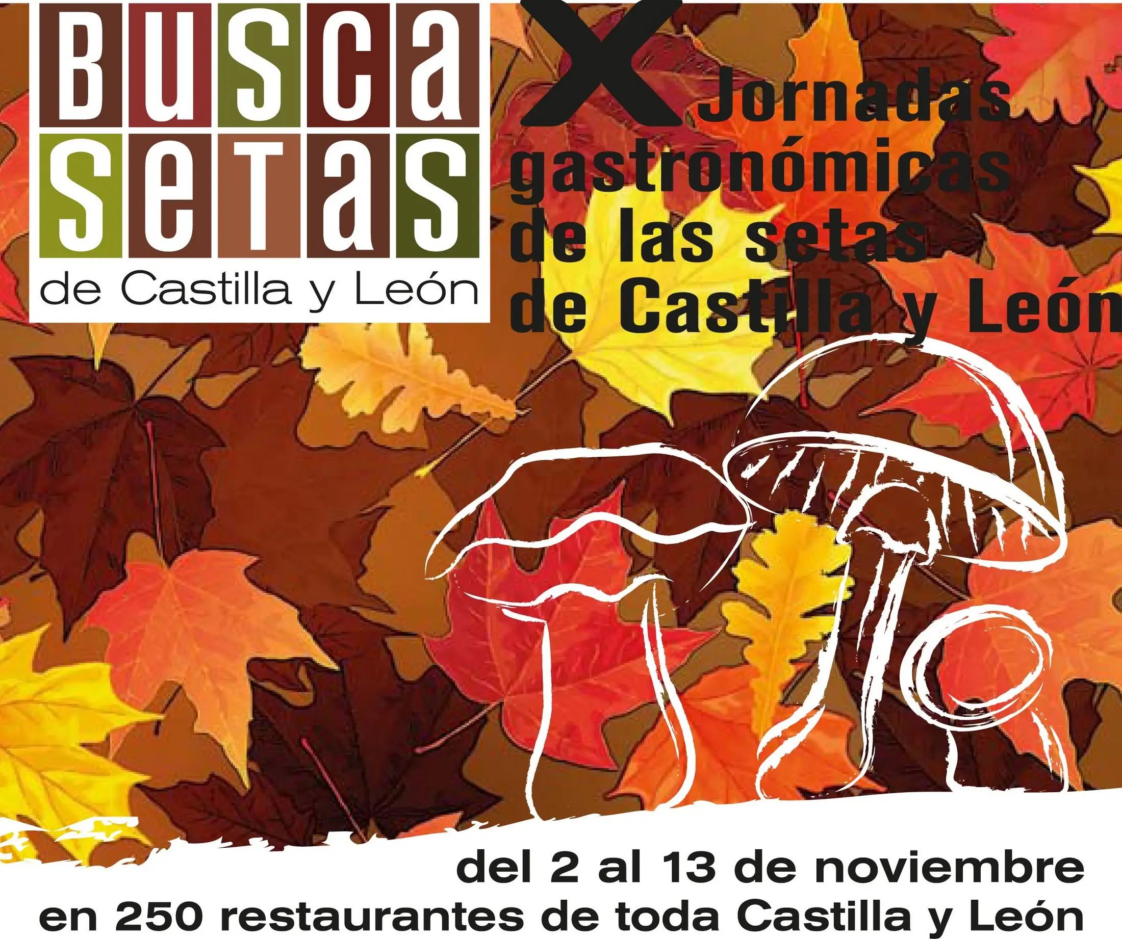 Busca Setas 2011