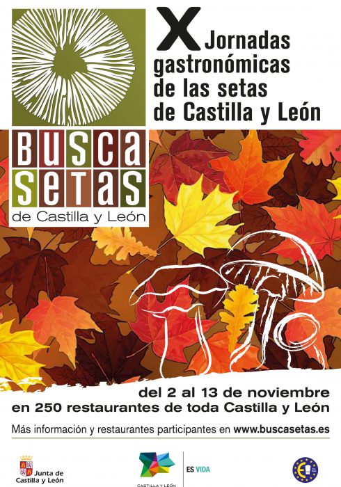 Cartel Buscasetas 2011