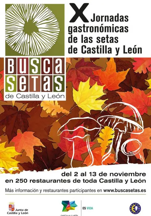 Cartel Buscasetas 2011 Cartel Buscasetas 2011