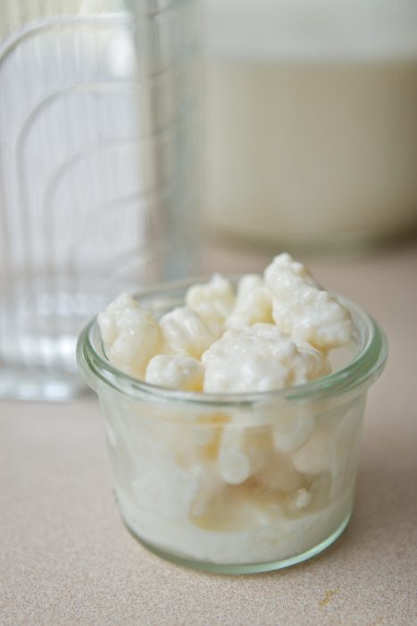 Hongo Kefir