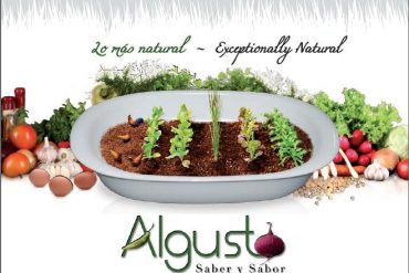 Algusto 2011