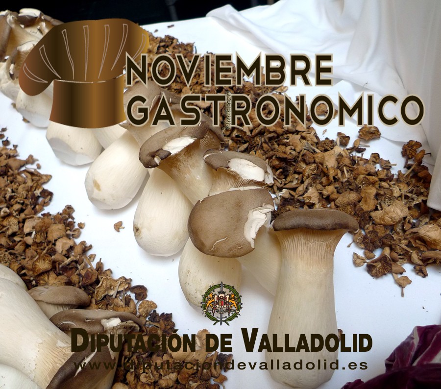 Noviembre gastronomico en Valladolid