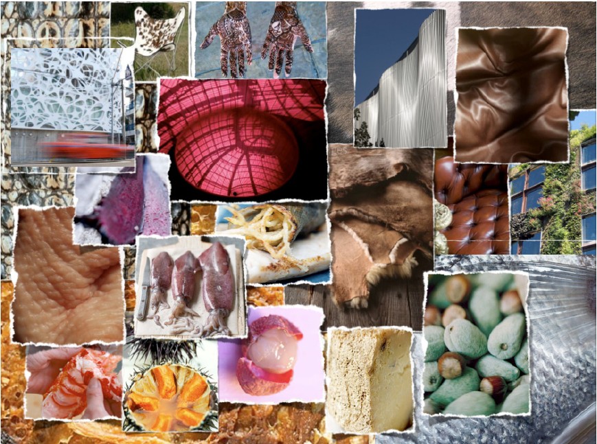 Paris des chefs 2012