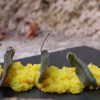 cuscus con hojas de salvia