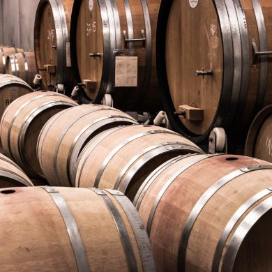 arricas de vino en bodega