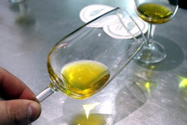 cata aceite oliva