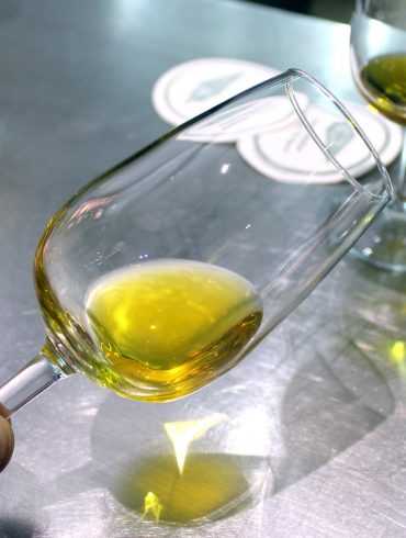 cata aceite oliva