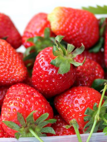 fresas-1