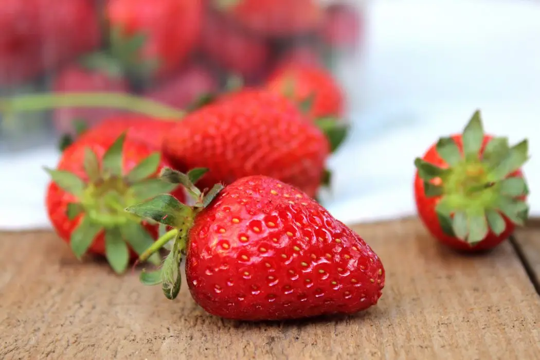 Fresas Fresas