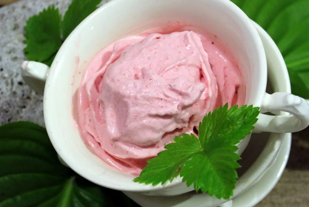 Helado de Fresa-3 Helado de Fresa-6