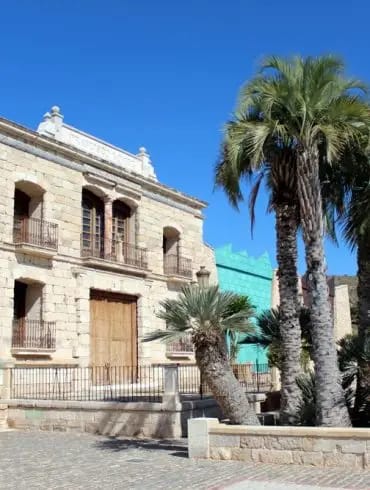 Bodegas Francisco Gómez-6