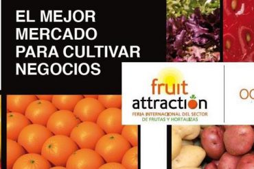 Fruit Fusión 2012