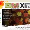 Busca Setas 2012 - logo