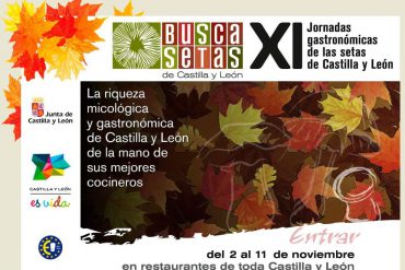 Busca Setas 2012 - logo