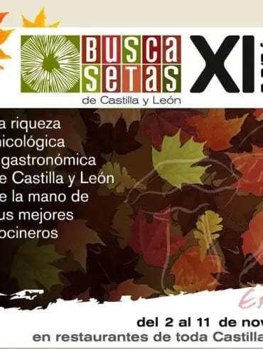 Busca Setas 2012 - logo