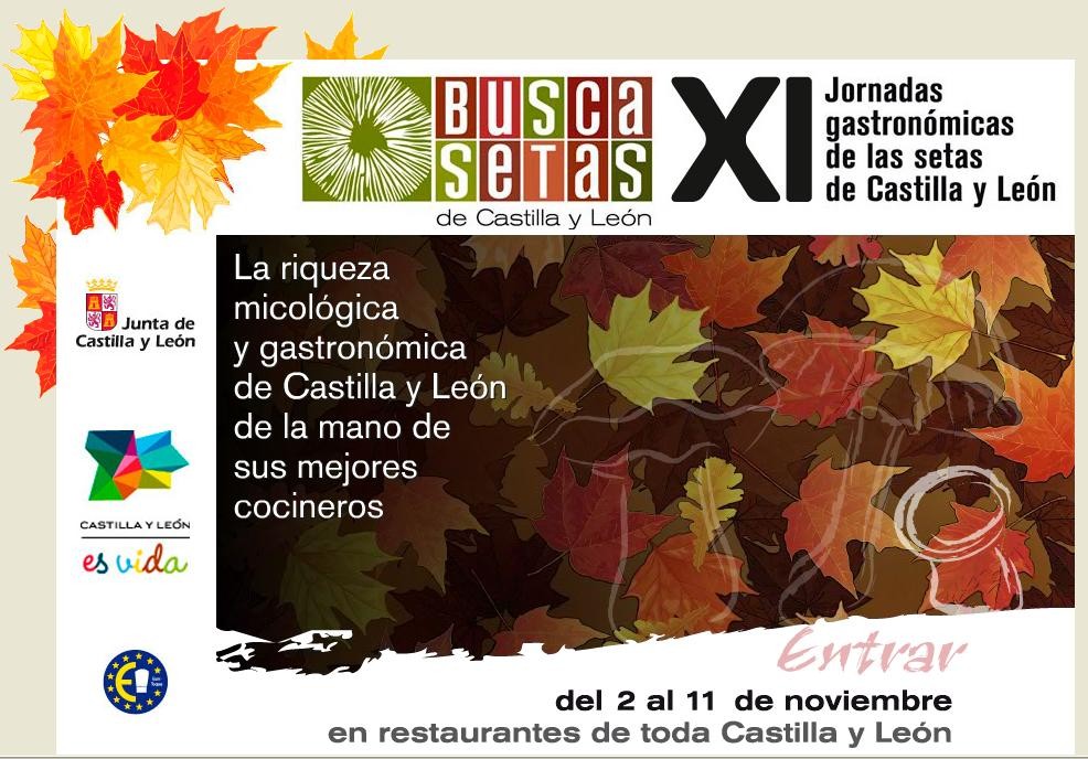 Busca Setas 2012 - logo