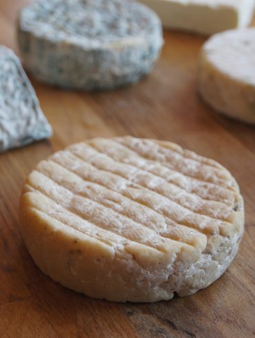 Queso cantagrullas
