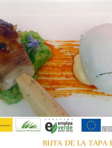ruta de la tapa ecologica 2012