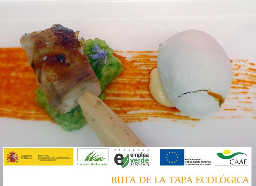 ruta de la tapa ecologica 2012