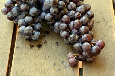 Uvas negras-1