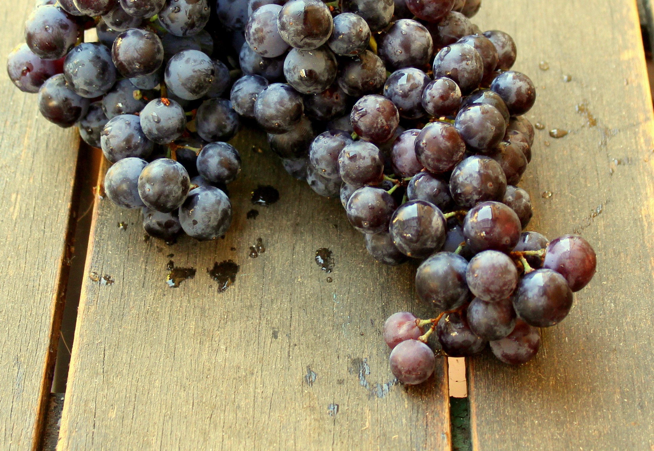 Uvas negras-1