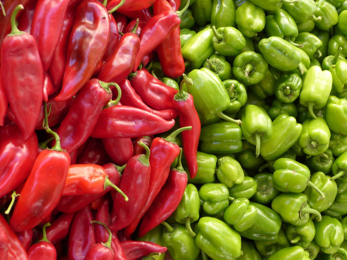 El pimiento morrón rojo es el más común y suele ser más carnoso y sabroso, pero también se pueden utilizar otros tipos de pimientos dependiendo de las preferencias personales y de lo que se encuentre disponible en el mercado.