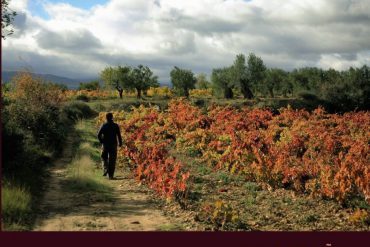 Guía del Turismo del Vino en España 2013