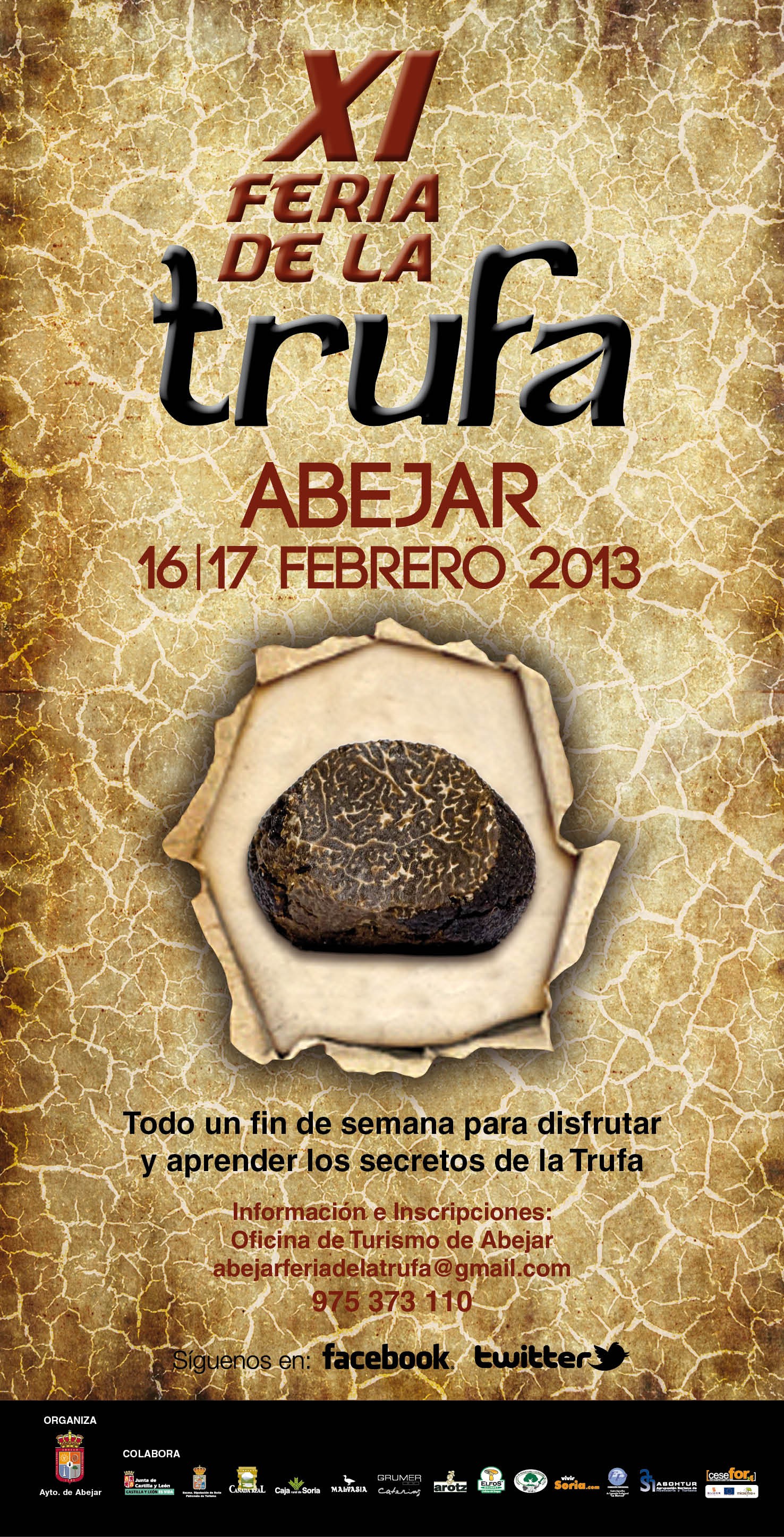 Feria de la Trufa de Abejar 2013