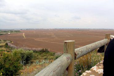 museo del arroz - cullera-1