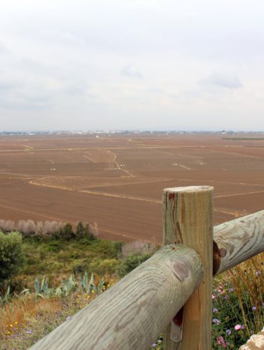 museo del arroz - cullera-1