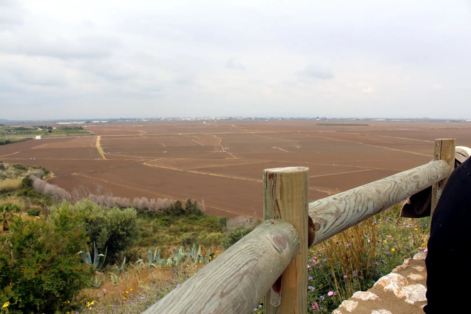 museo del arroz - cullera-1