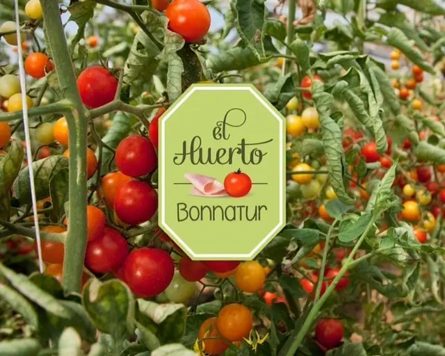Tomates de verdad, tomates con sabor Bonnatur de Argal Tomates de verdad, tomates con sabor Bonnatur de Argal
