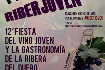 CARTEL RIBERJOVEN-2013