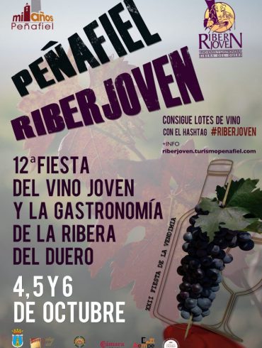 CARTEL RIBERJOVEN-2013