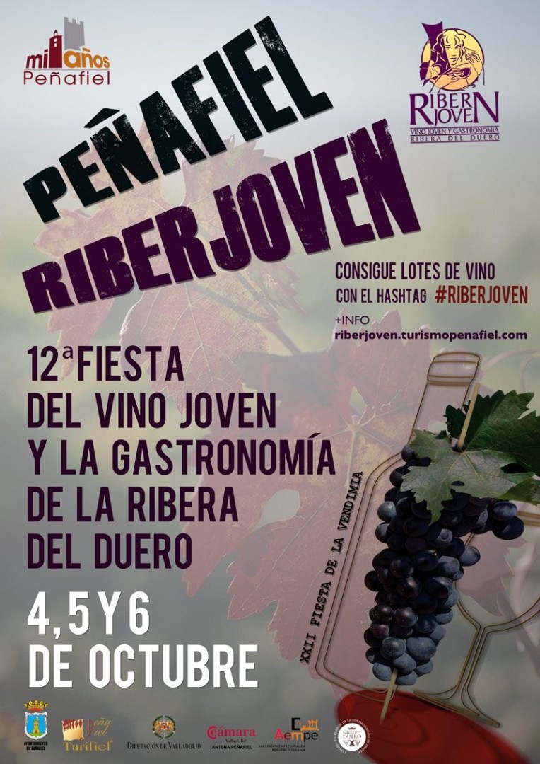 CARTEL RIBERJOVEN-2013