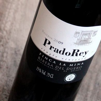 Vino PradoRey Reserva 2009 La mina