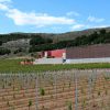 bodegas pago de carraovejas