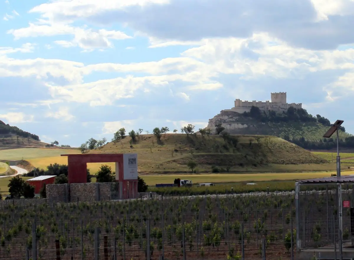 bodega pago carraovejas peñafiel Finca y Bodega Pago de Carraovejas