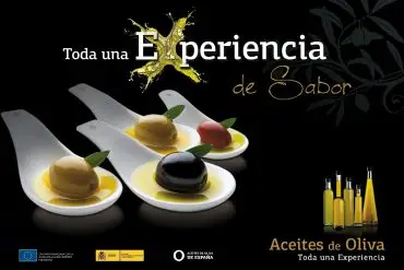 Experiencias Aceites de Oliva de España
