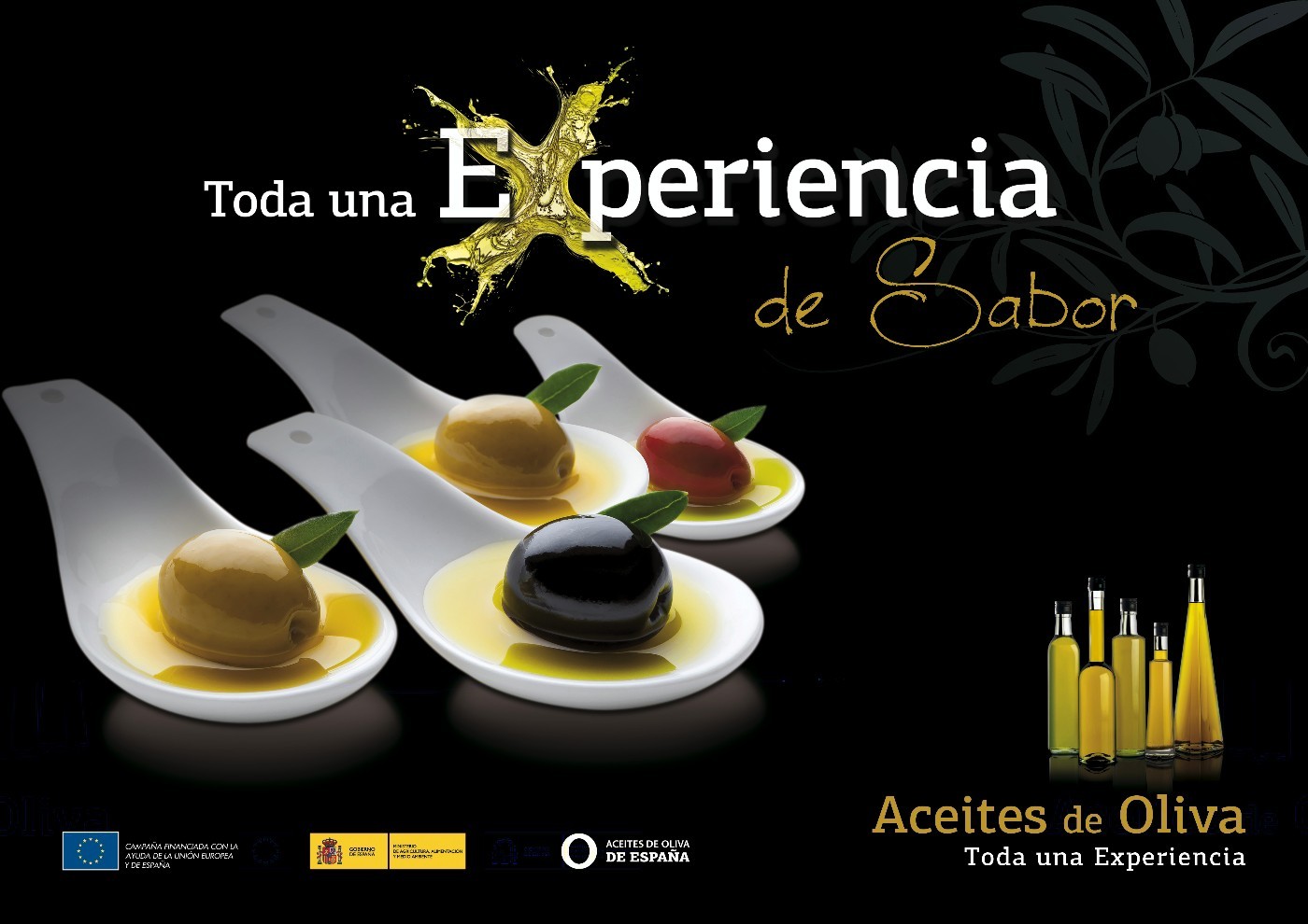 Experiencias Aceites de Oliva de España