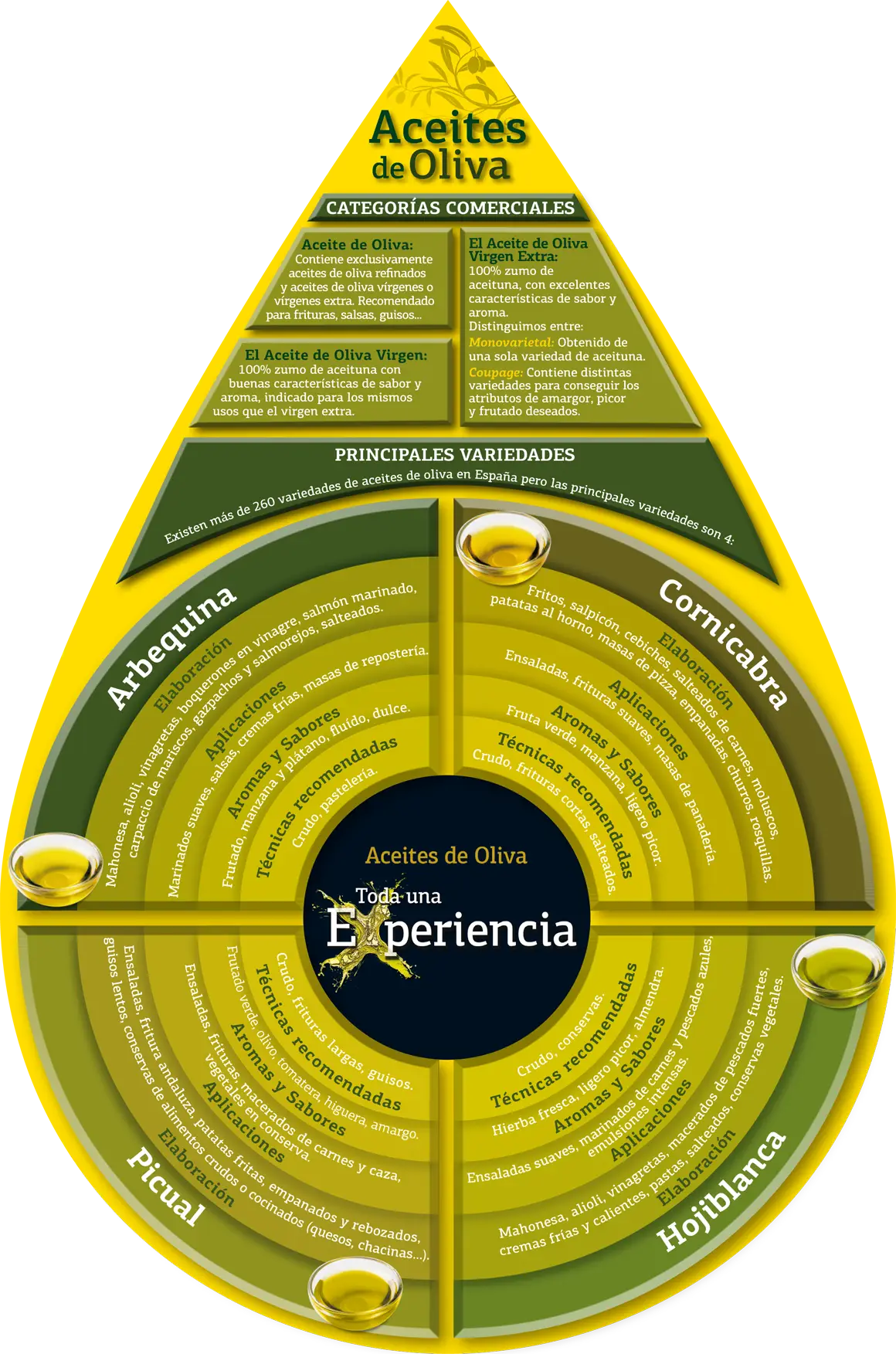 Variedades Aceite Oliva España Variedades Aceite Oliva España