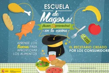 escuelas de magos del aprovechamiento